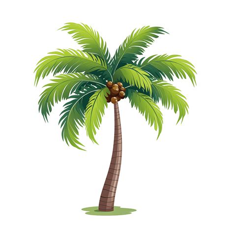 200,000+ Free Palm Tree & Nature Photos .